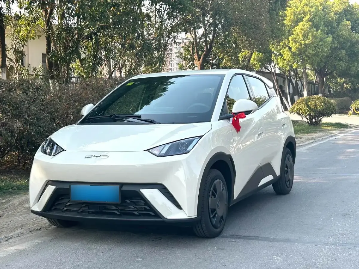 2025 BYD Seagull BEV 30.08KWH