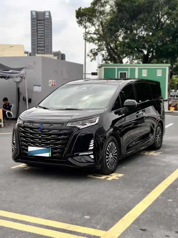 2022 Denza D9 1.5T 139HP L4 E-CVT PHEV 40.06KWH
