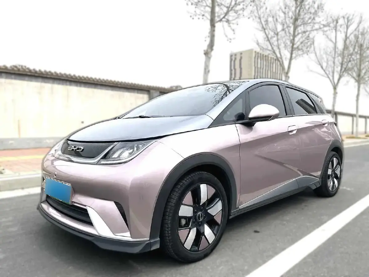2023 BYD Dolphin BEV 44.928KWH