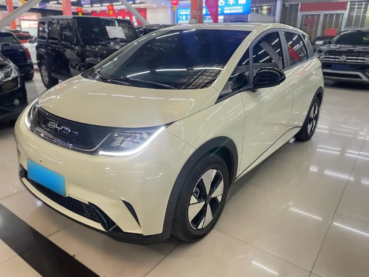 2023 BYD Dolphin BEV 44.928KWH