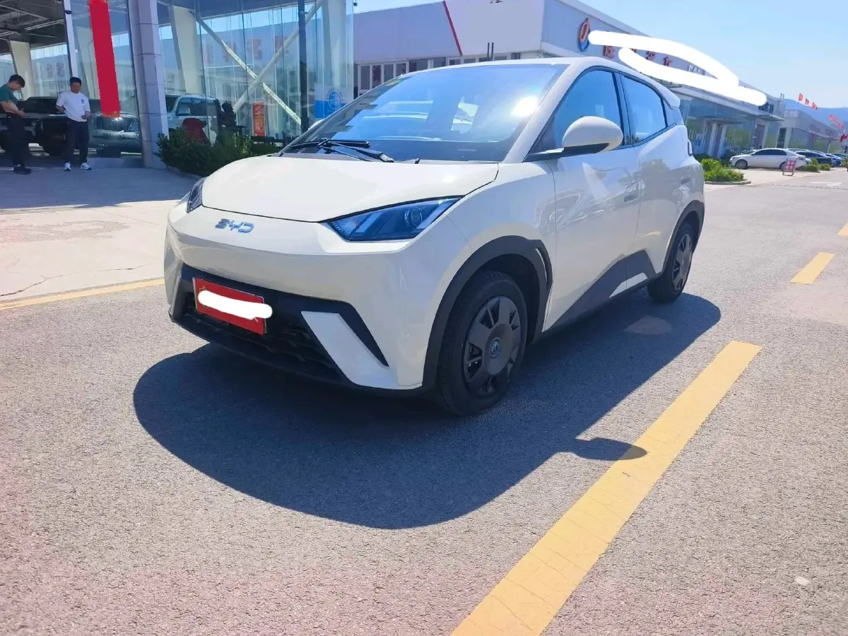 2025 BYD Seagull BEV 30.08KWH