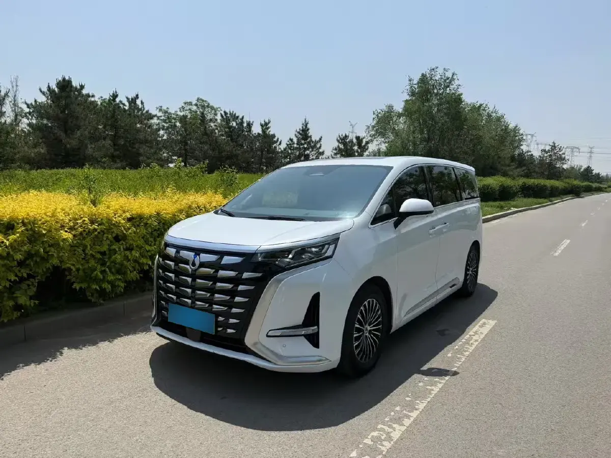 2022 Denza D9 1.5T 139HP L4 E-CVT PHEV 40.06KWH