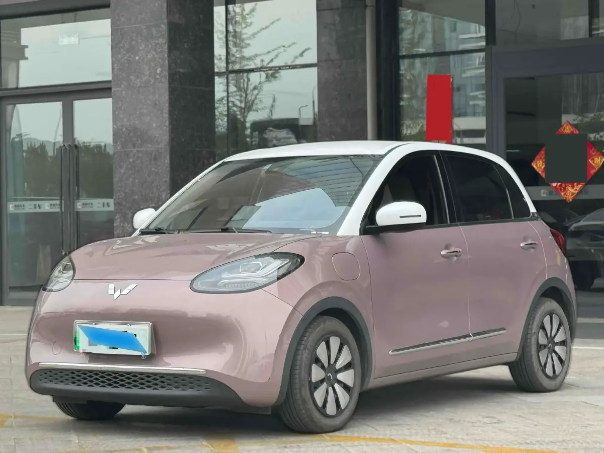 2023 WuLing BinGuo BEV 31.9KWH