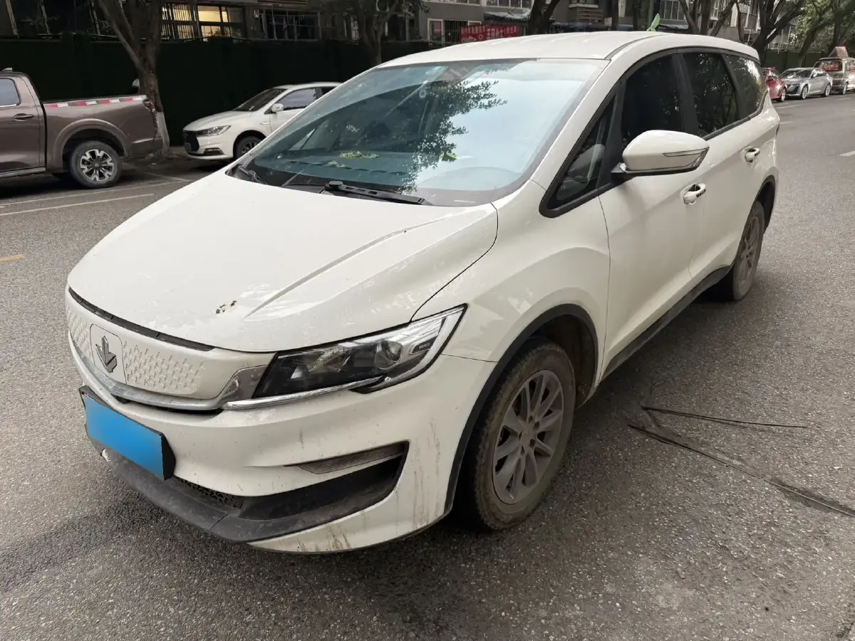 2021 Livan Maple 80v BEV 53KWH