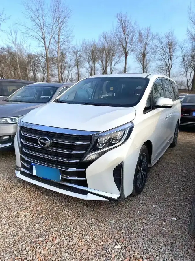 2021 GAC Trumpchi M8 2.0T 252HP L4 8AT