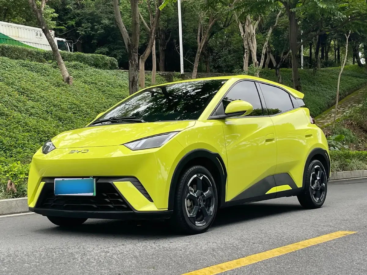 2024 BYD Seagull BEV 30.08KWH