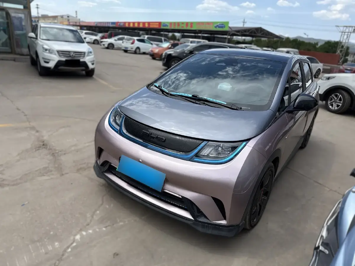 2021 BYD Dolphin BEV 44.9KWH