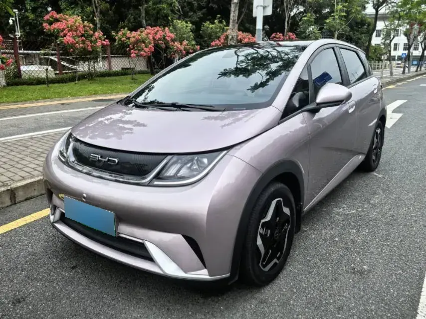 2021 BYD Dolphin BEV 44.9KWH