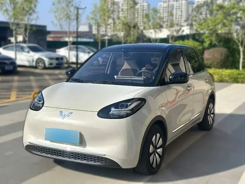 2024 WuLing BinGuo BEV 31.9KWH