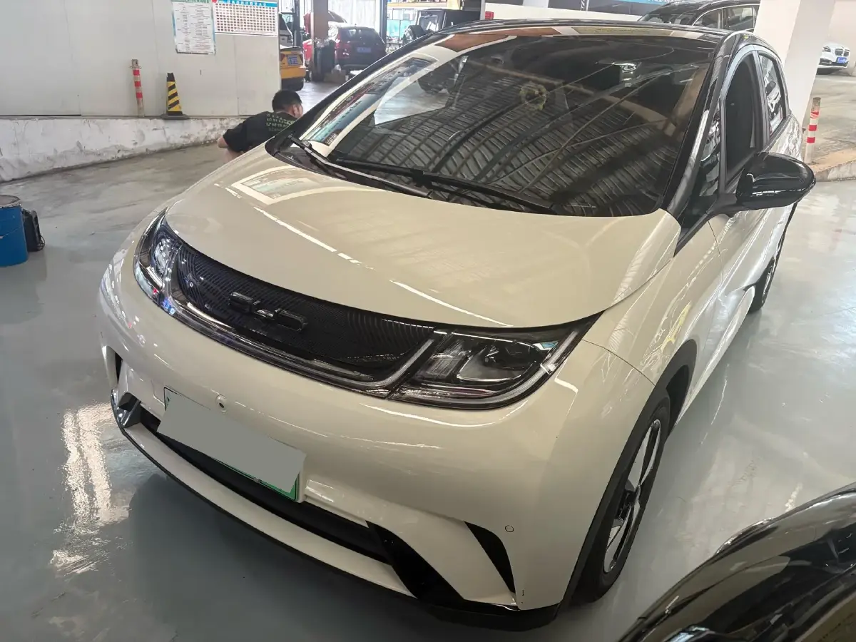 2023 BYD Dolphin BEV 44.928KWH