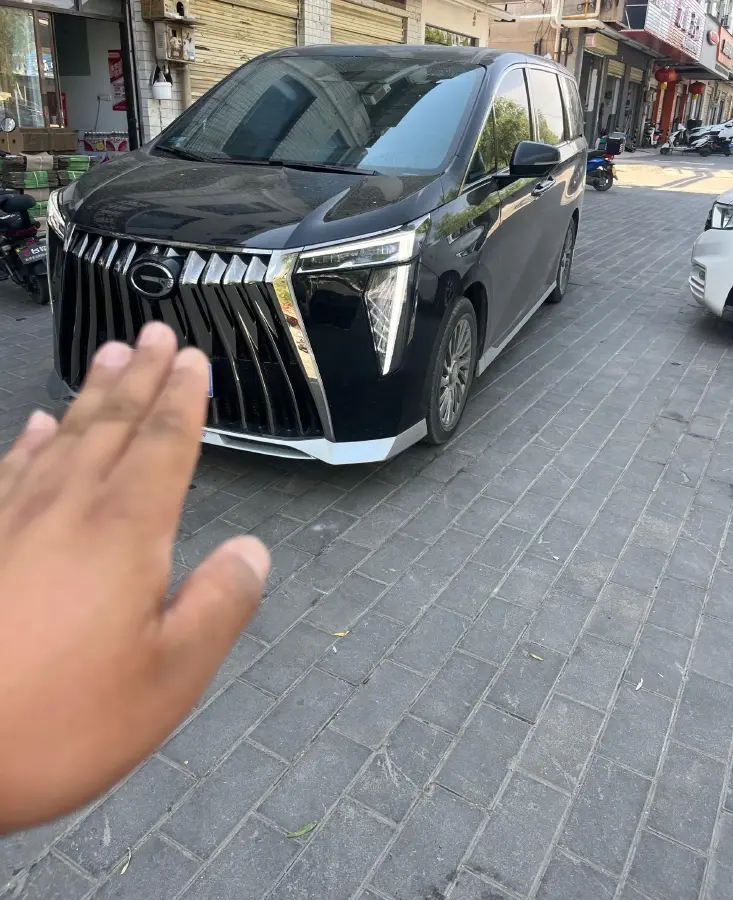 2023 GAC Trumpchi M8 2.0T 252HP L4 8AT