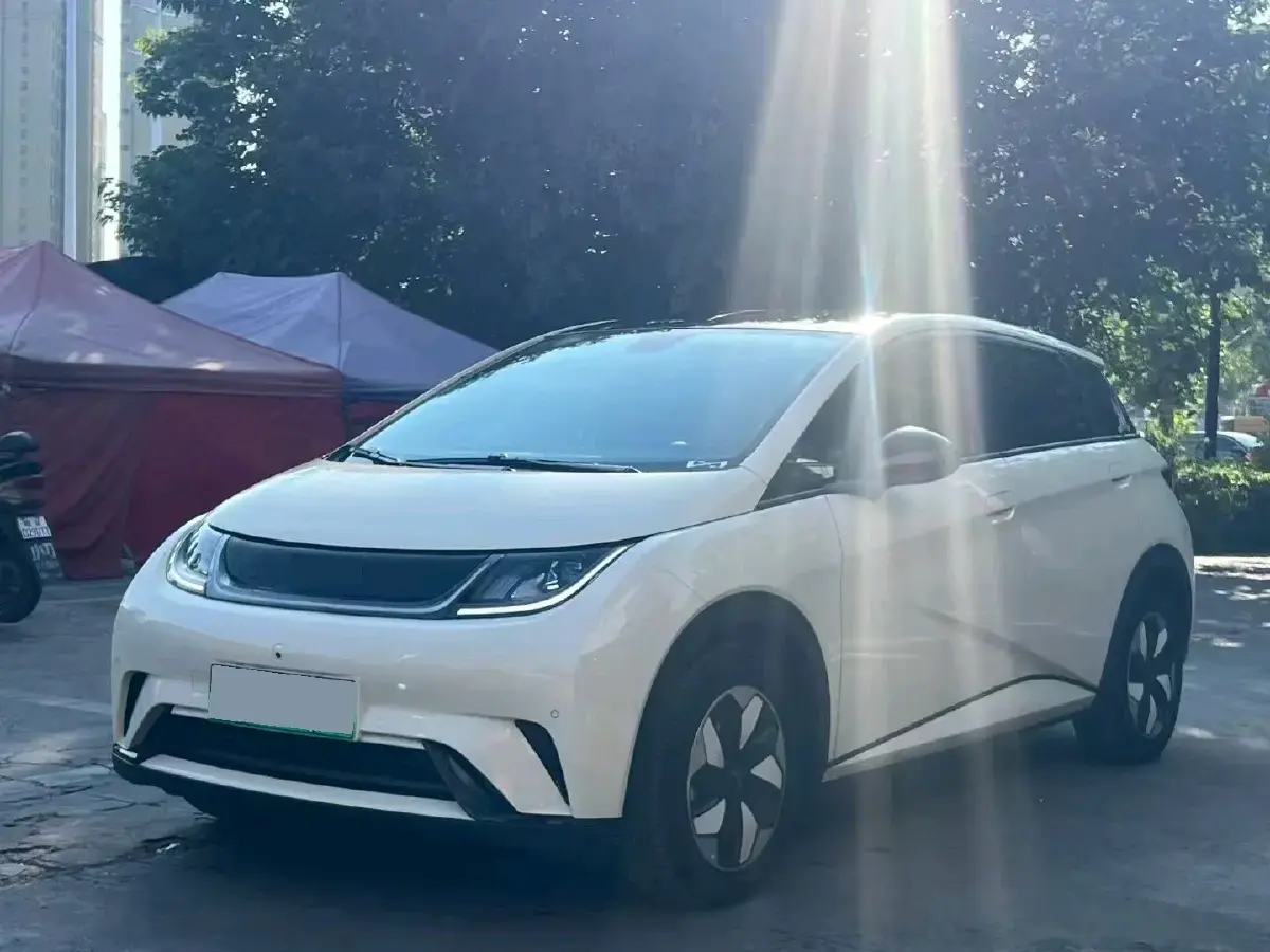2024 BYD Dolphin BEV 44.928KWH