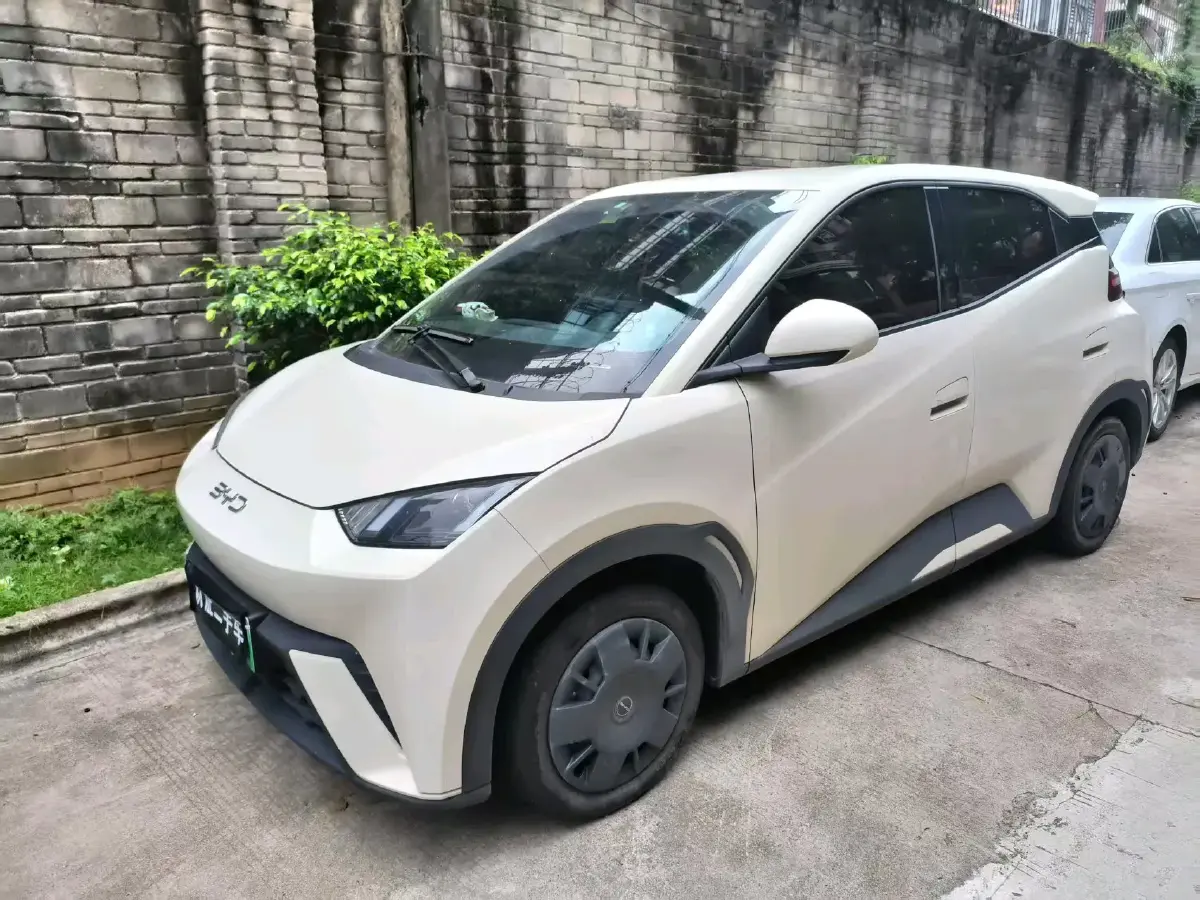 2024 BYD Seagull BEV 30.08KWH