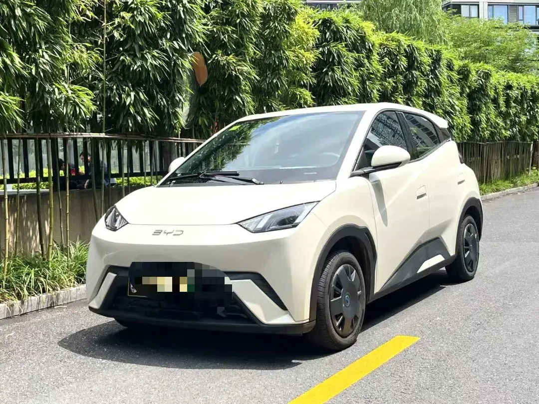 2025 BYD Seagull BEV 30.08KWH