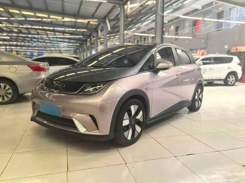 2021 BYD Dolphin BEV 44.9KWH