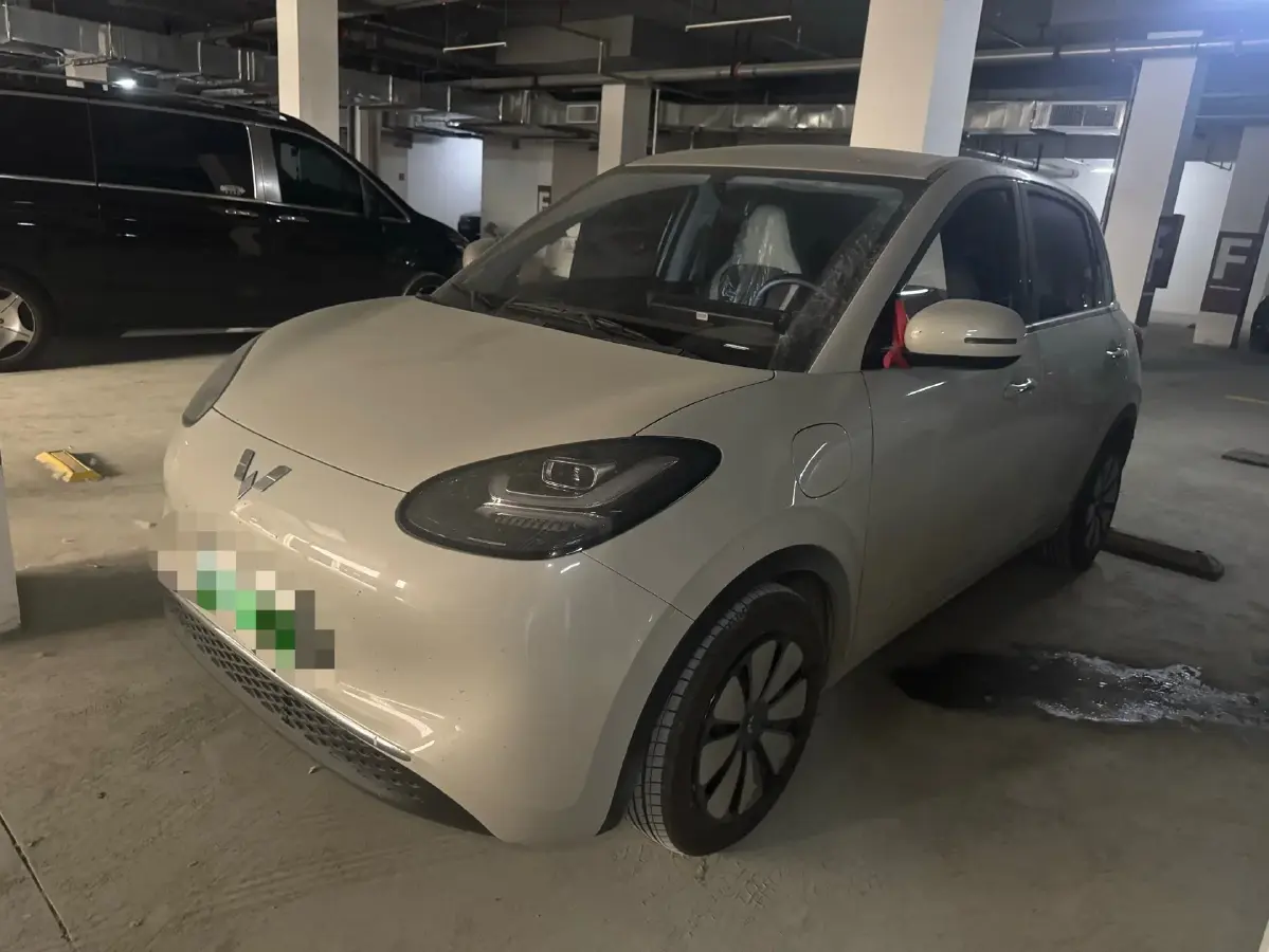 2024 WuLing BinGuo BEV 31.9KWH