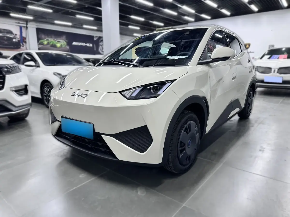 2025 BYD Seagull BEV 30.08KWH