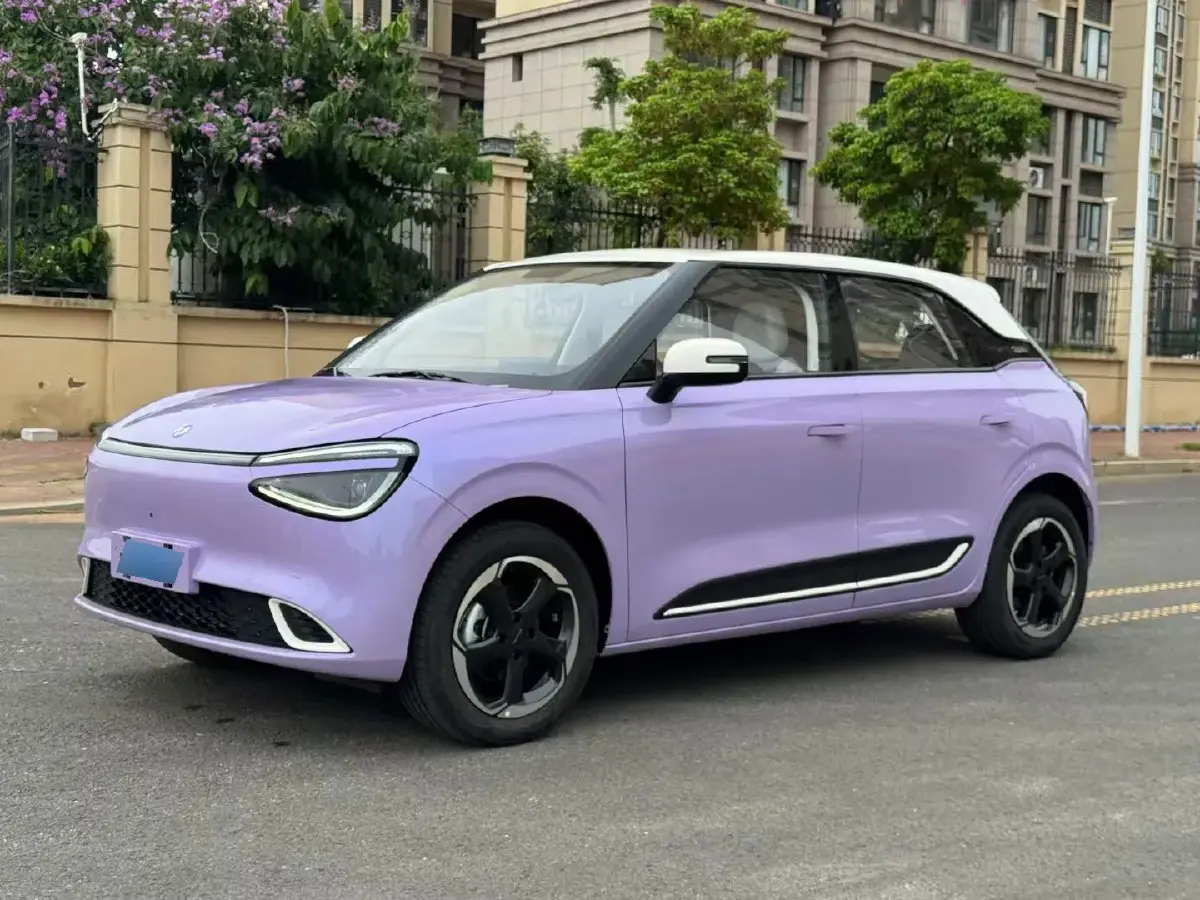 2024 DongFeng Nammi 01 BEV 42.3KWH