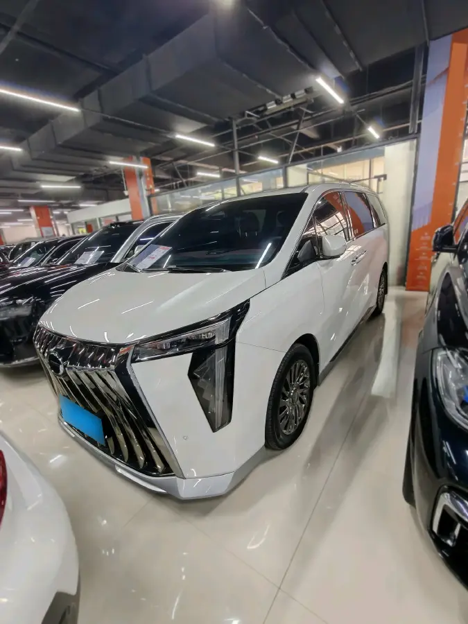 2023 GAC Trumpchi M8 2.0T 252HP L4 8AT