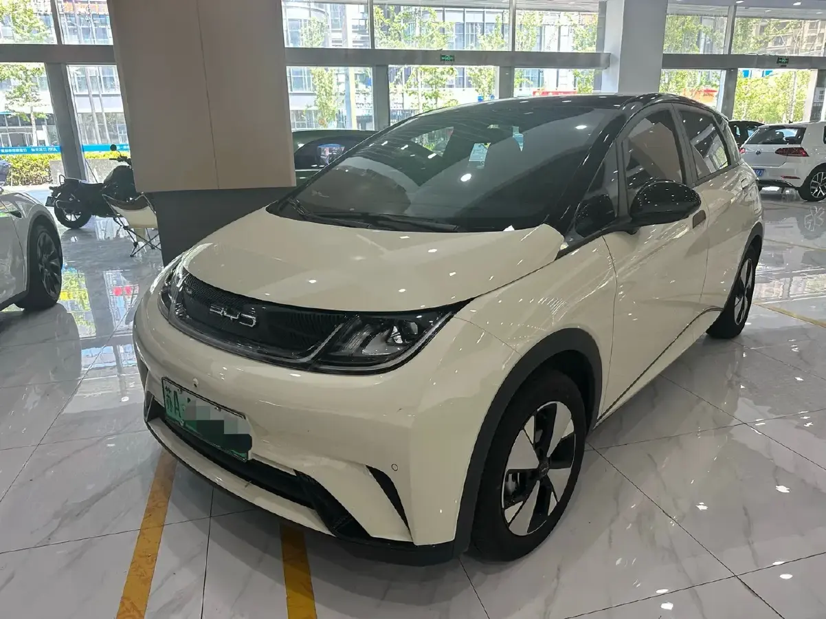 2024 BYD Dolphin BEV 44.928KWH
