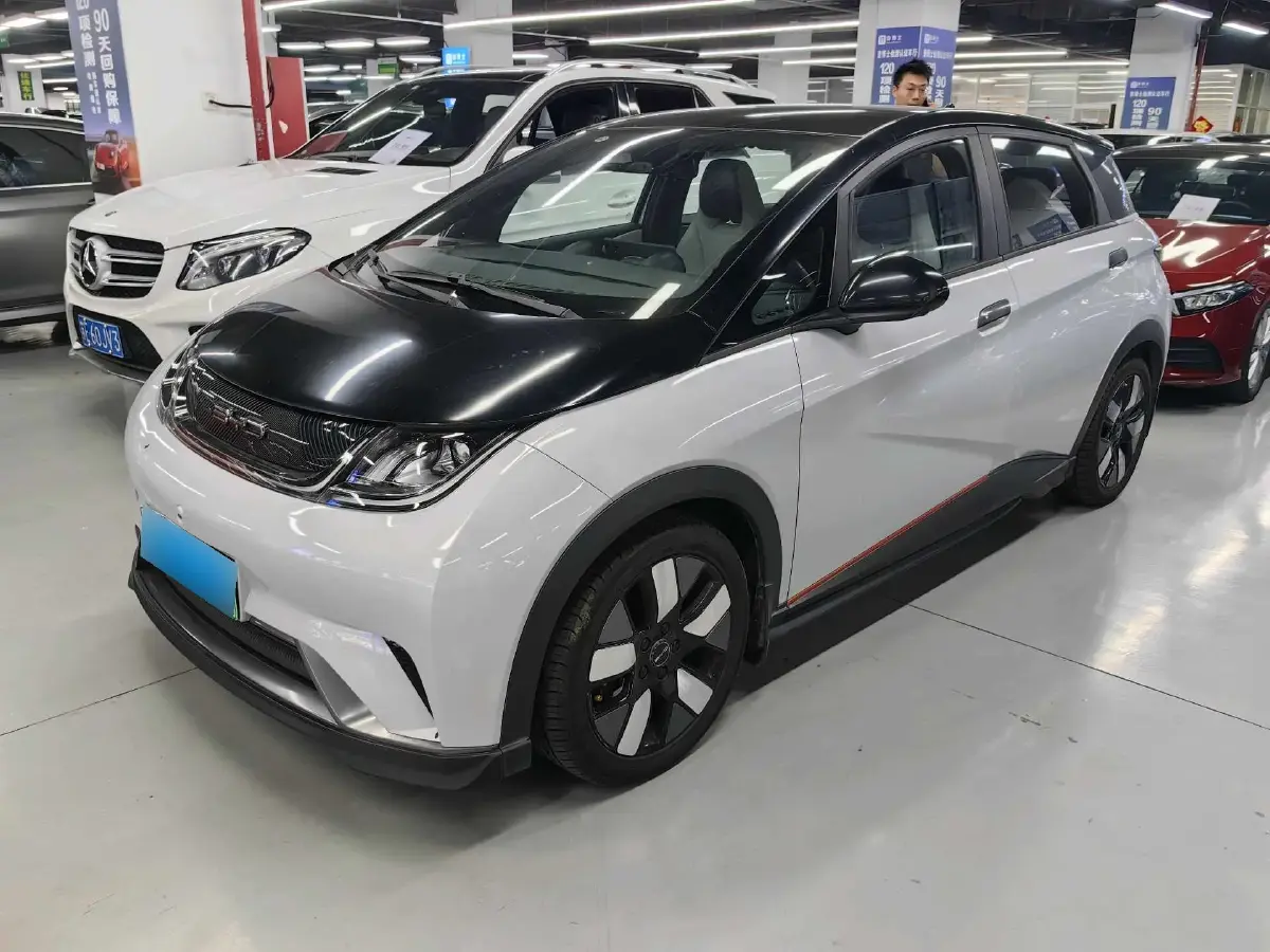 2021 BYD Dolphin BEV 44.9KWH