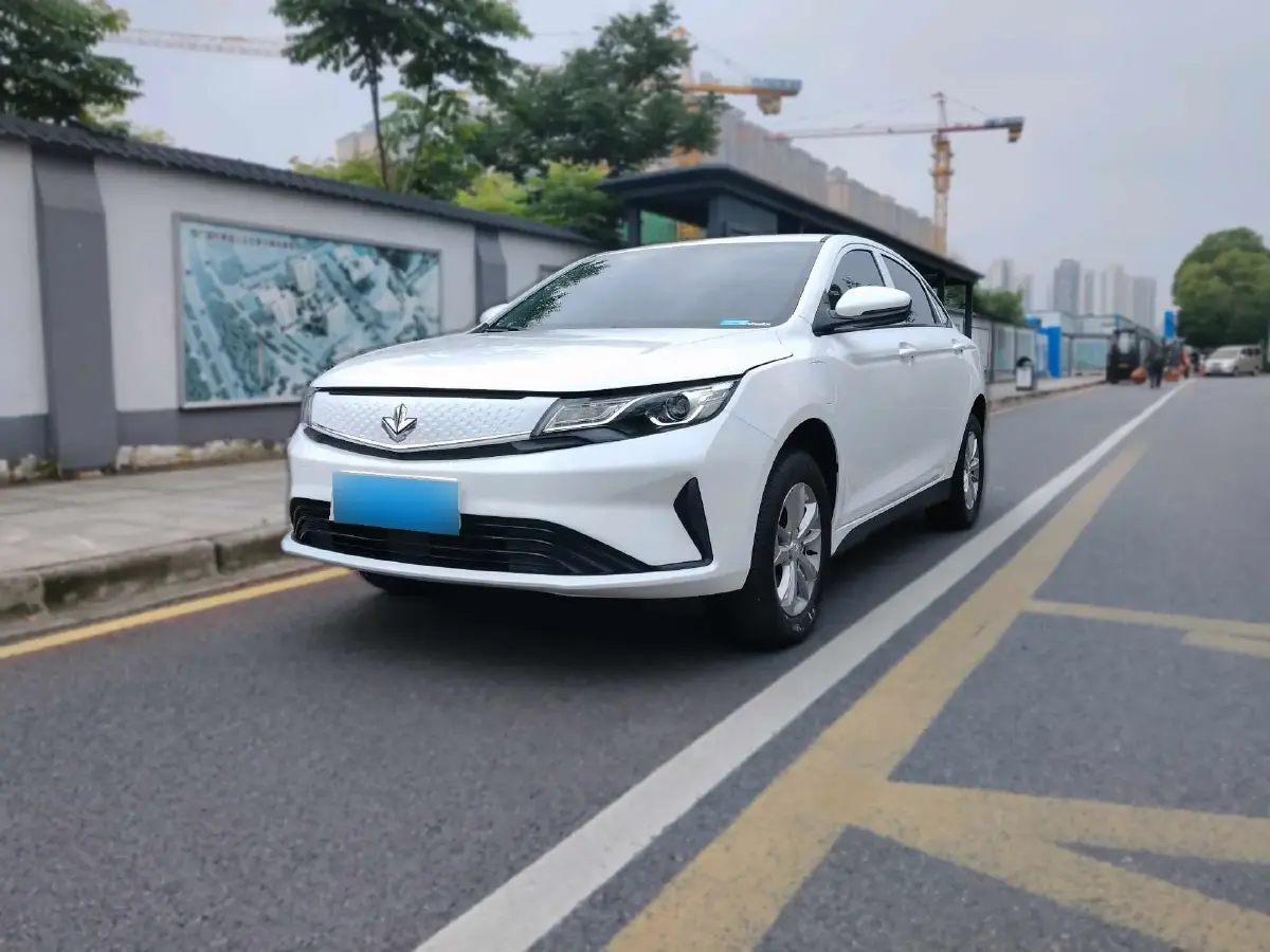 2024 Livan Maple 60s BEV 30.98KWH