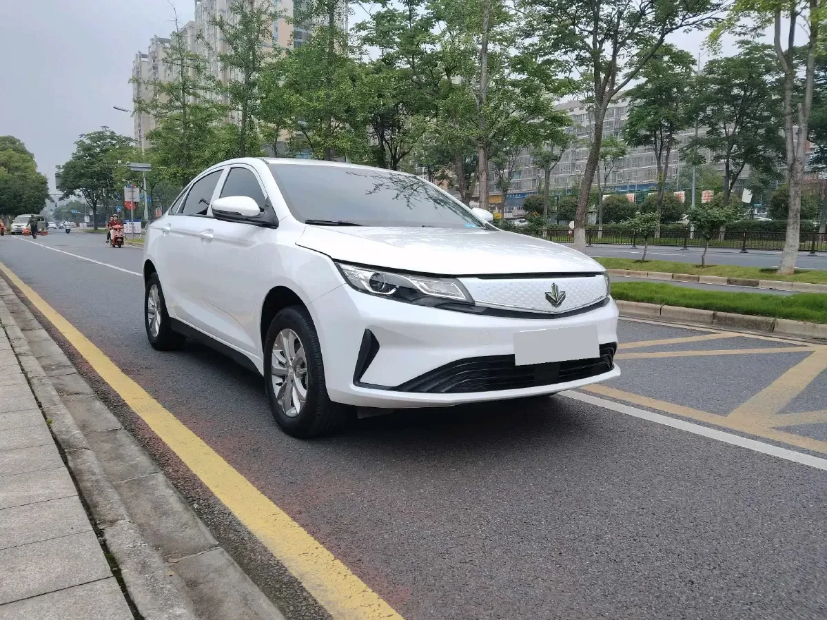 2024 Livan Maple 60s BEV 30.98KWH,autocango,china used car exporter,china ev exporter,chinese used car exporter,chinese used ev exporter