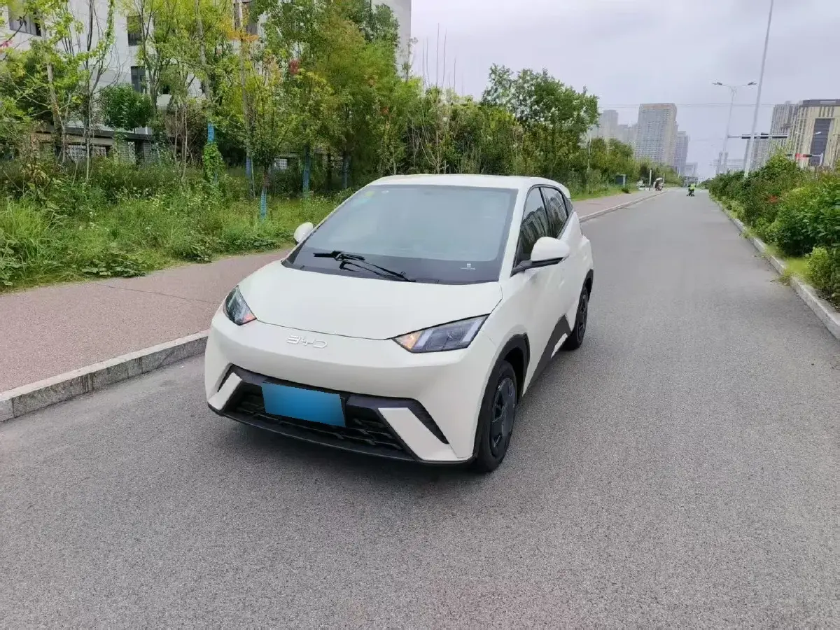 2025 BYD Seagull BEV 30.08KWH