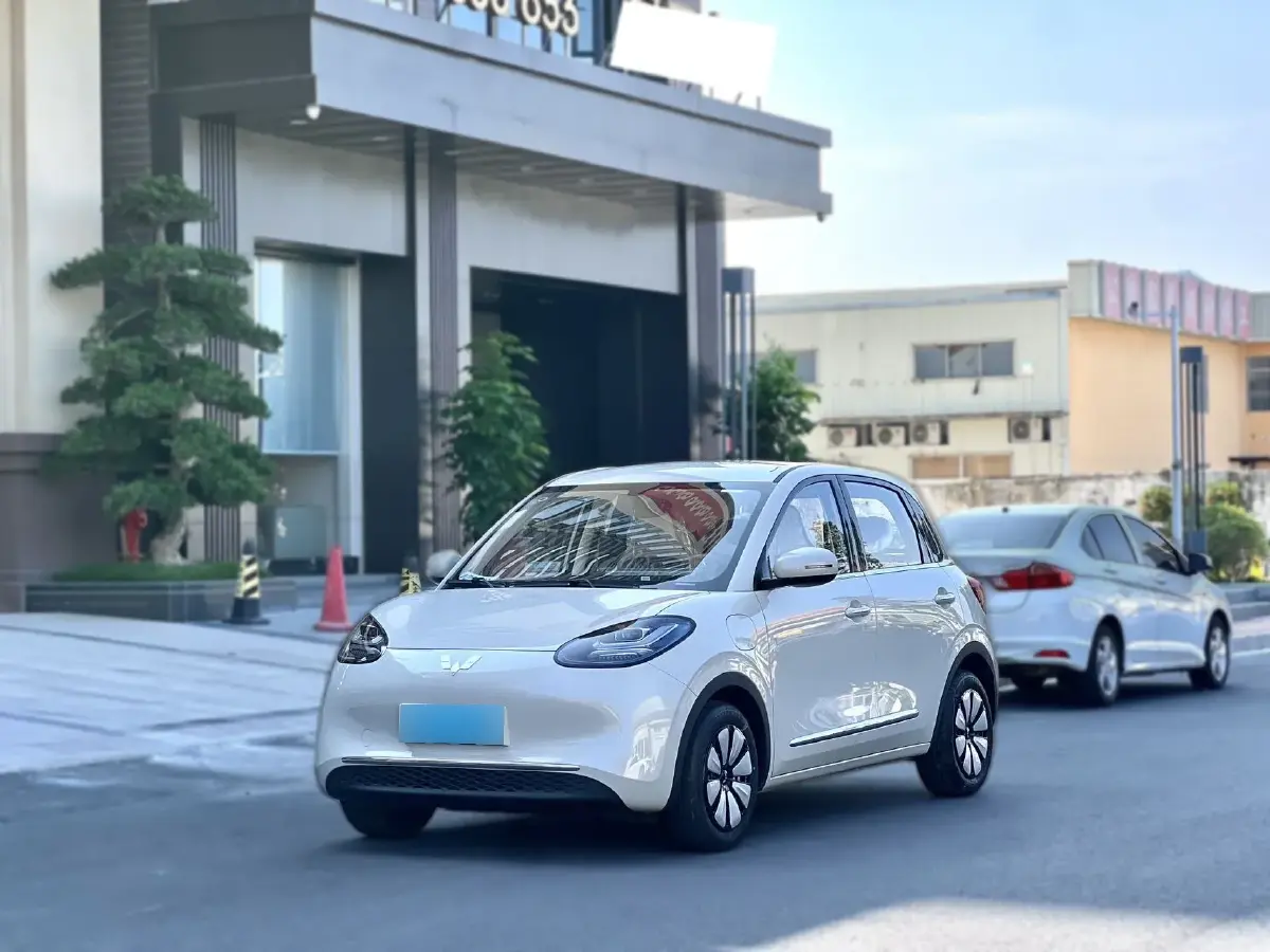 2025 WuLing BinGuo BEV