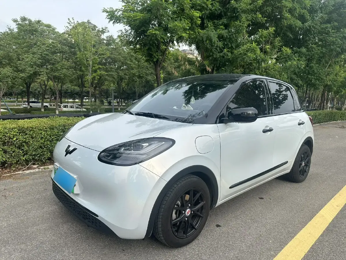 2023 WuLing BinGuo BEV 31.9KWH