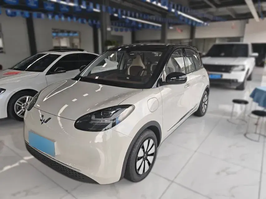 2023 WuLing BinGuo BEV 31.9KWH