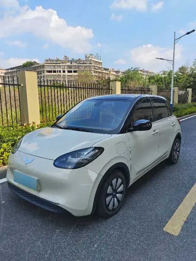 2023 WuLing BinGuo BEV 31.9KWH