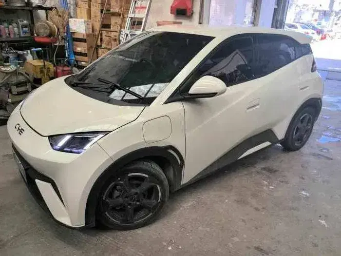 2024 BYD Seagull BEV 38.88KWH