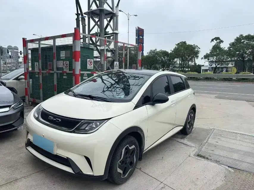 2021 BYD Dolphin BEV 44.9KWH