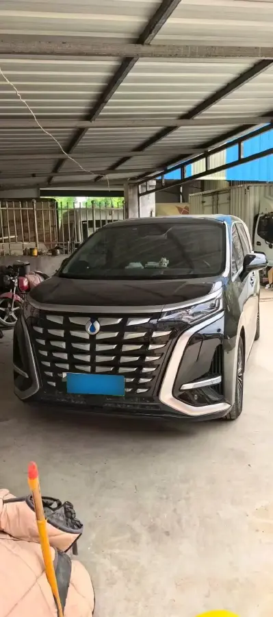 2022 Denza D9 1.5T 139HP L4 E-CVT PHEV 40.06KWH