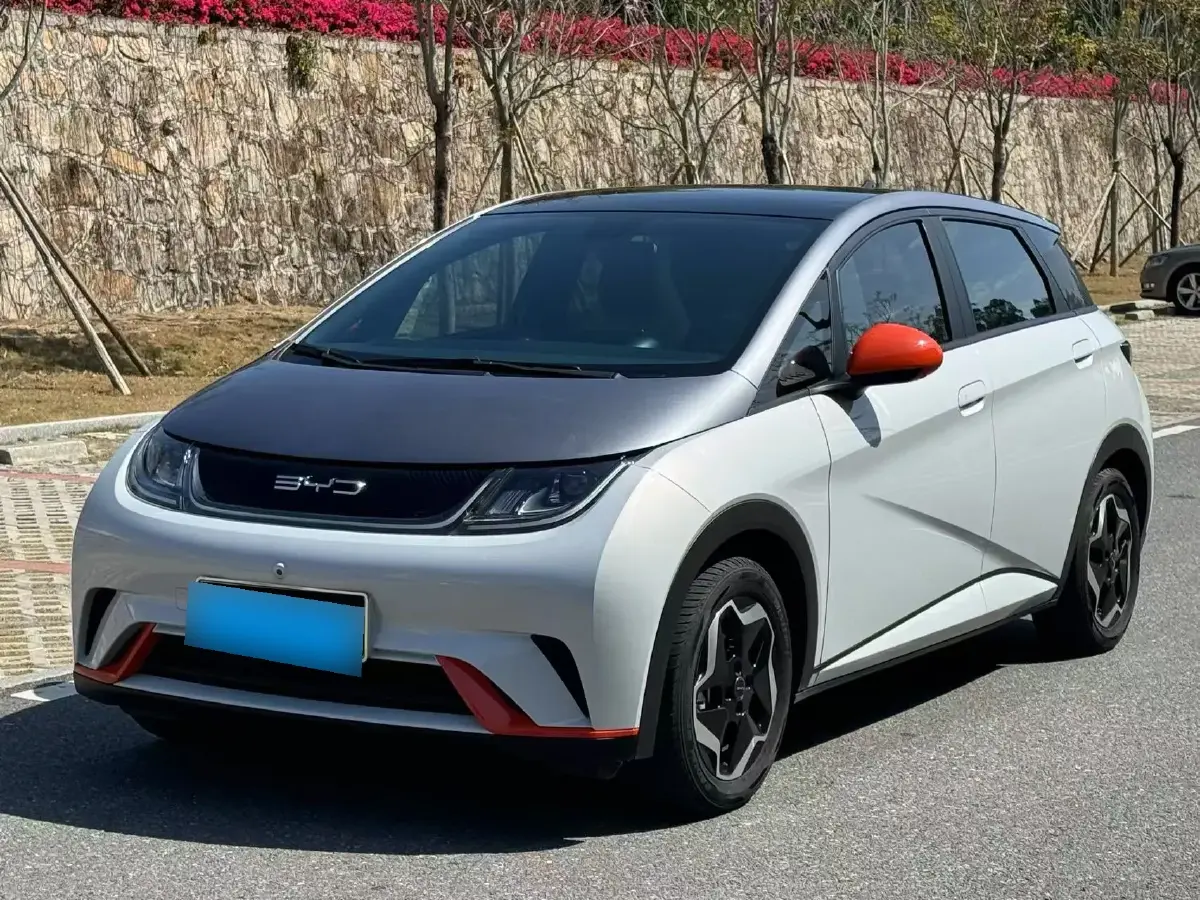 2021 BYD Dolphin BEV 44.9KWH