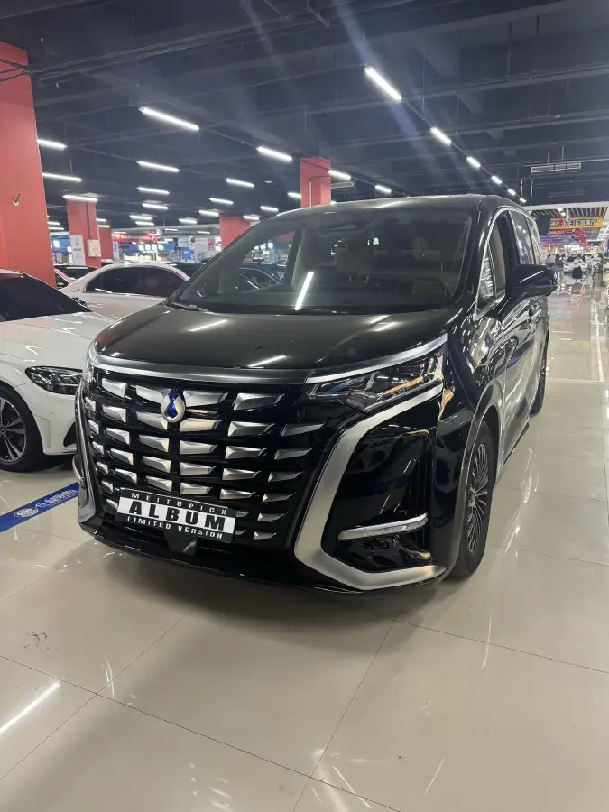 2024 Denza D9 1.5T 139HP L4 E-CVT PHEV 40KWH