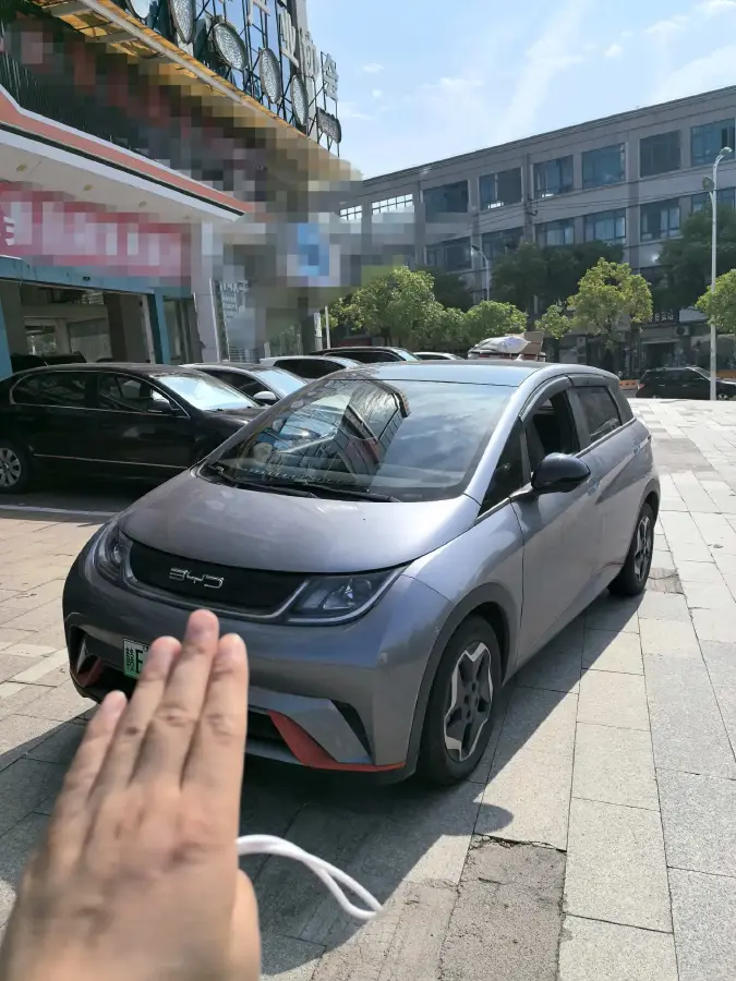 2021 BYD Dolphin BEV 44.9KWH