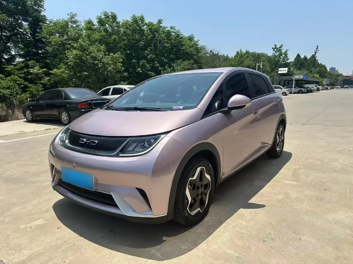 2021 BYD Dolphin BEV 44.9KWH