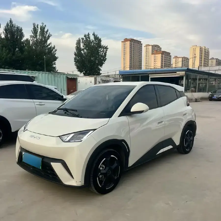 2024 BYD Seagull BEV 30.08KWH