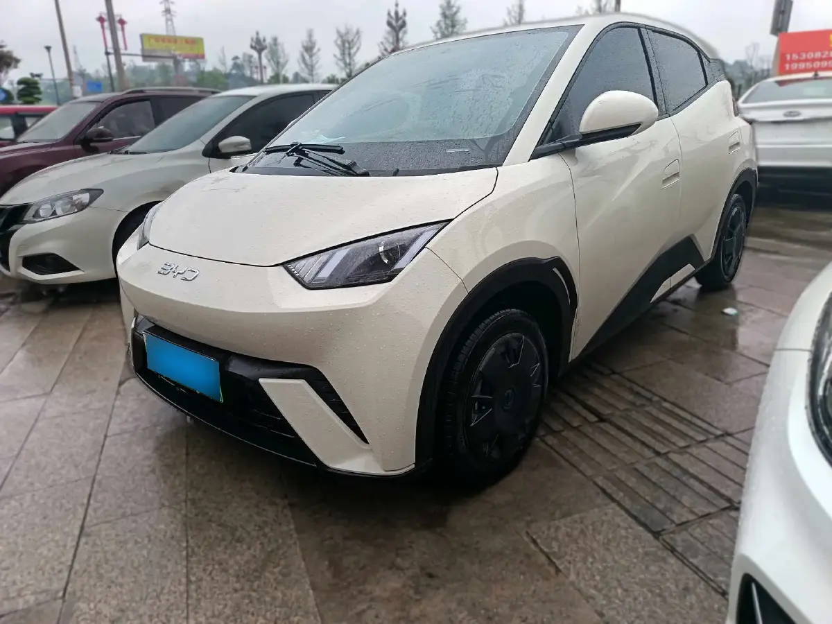 2025 BYD Seagull BEV 30.08KWH