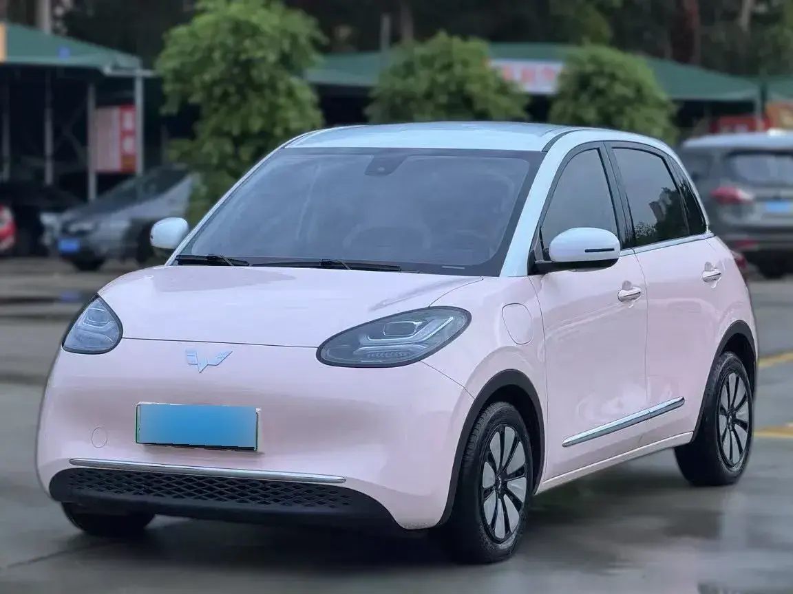 2023 WuLing BinGuo BEV 37.9KWH