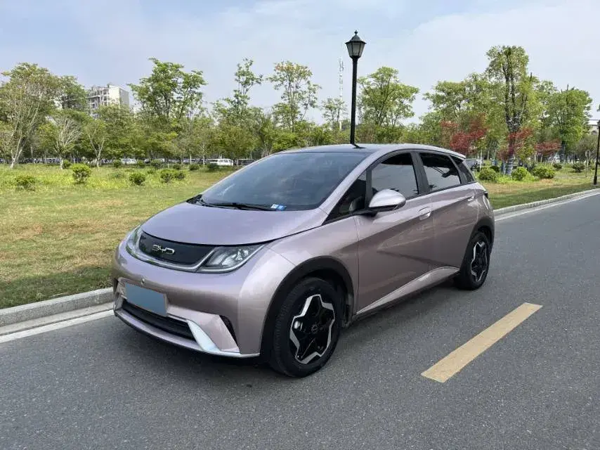 2021 BYD Dolphin BEV 44.9KWH