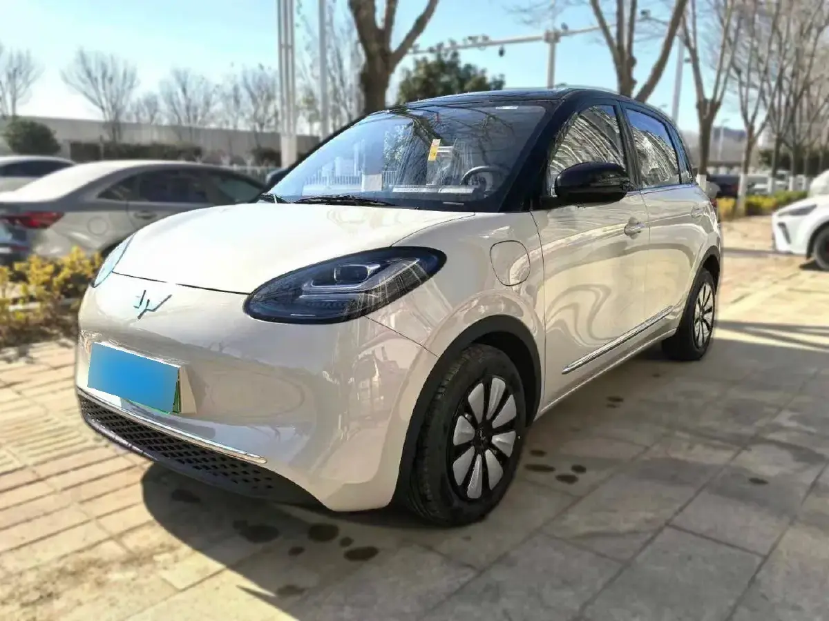 2024 WuLing BinGuo BEV 31.9KWH