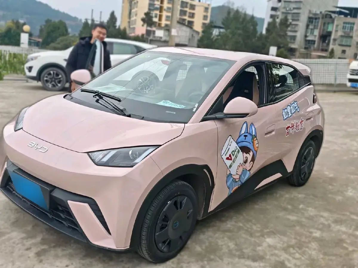 2025 BYD Seagull BEV 30.08KWH