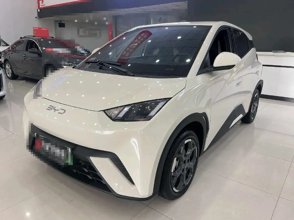 2025 BYD Seagull BEV 30.08KWH