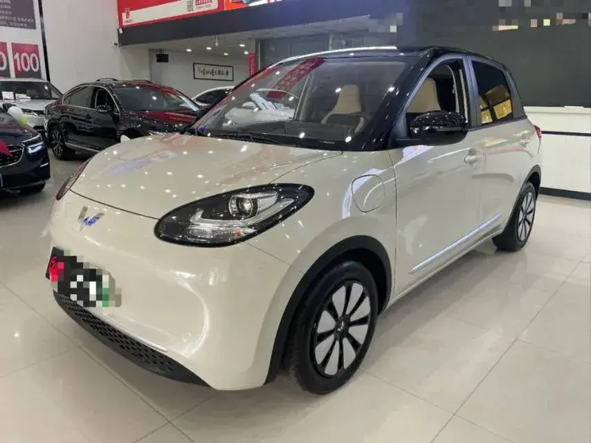 2023 WuLing BinGuo BEV 31.9KWH