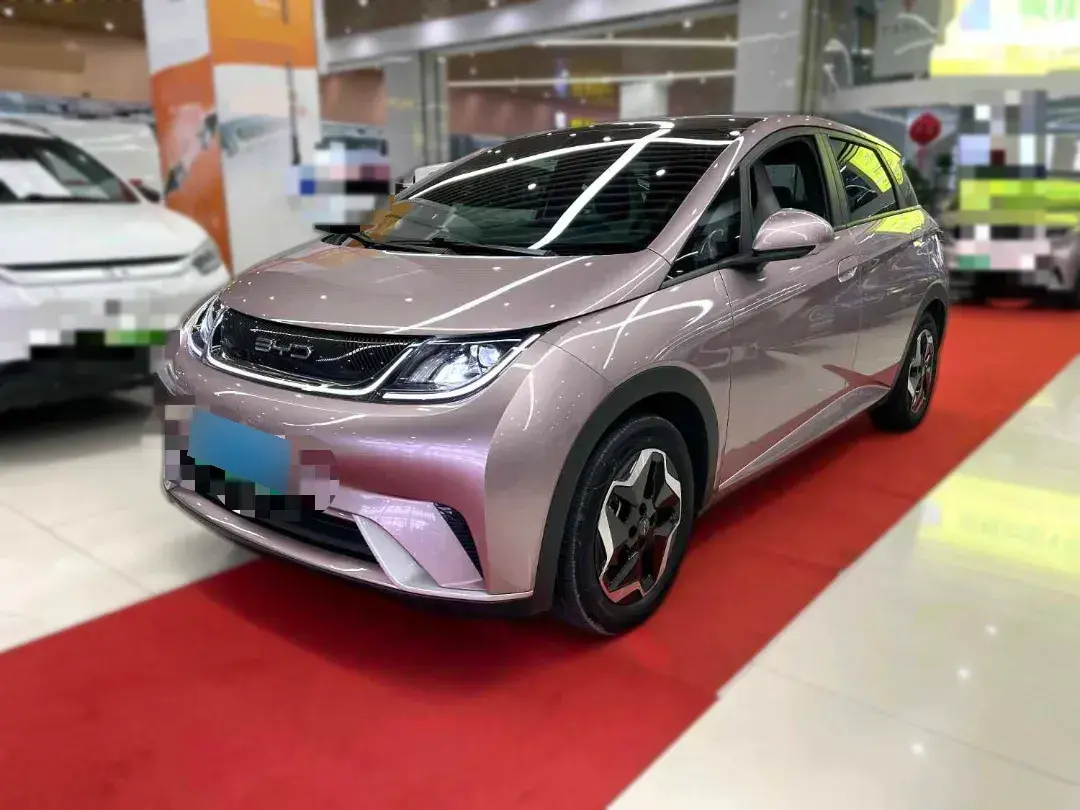 2021 BYD Dolphin BEV 44.9KWH