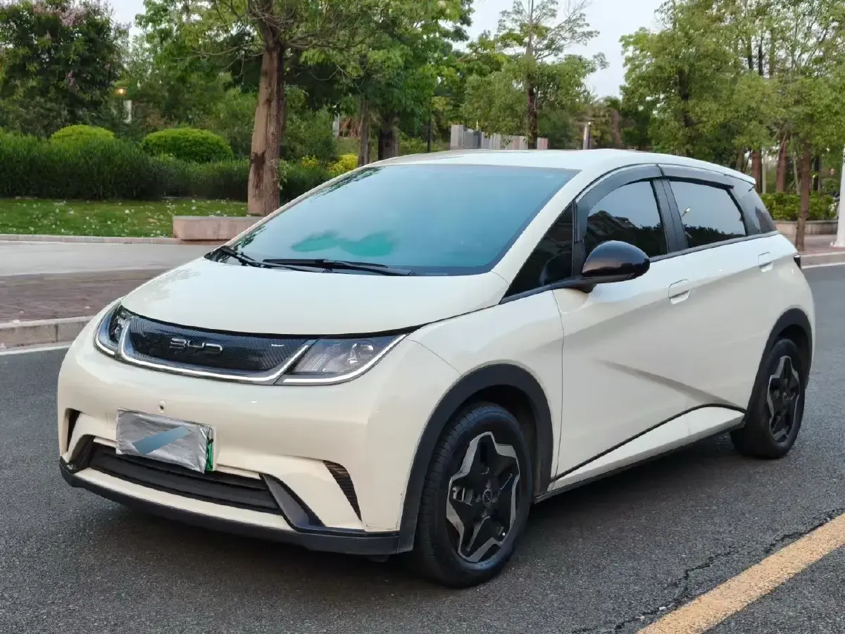 2023 BYD Dolphin BEV 44.928KWH