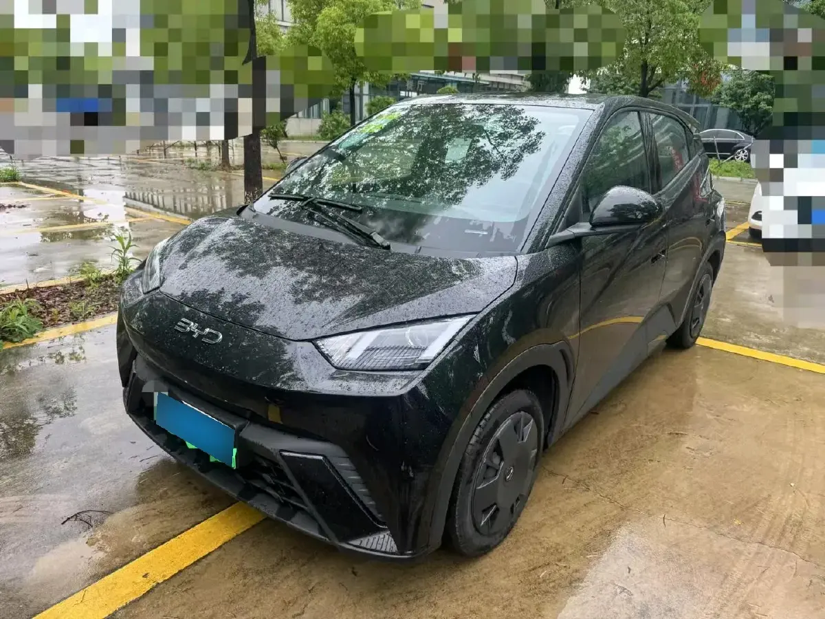 2023 BYD Seagull BEV 30.08KWH